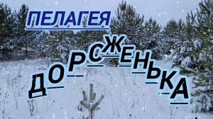 ЗАЩИТНИКАМ ОТЕЧЕСТВА ПОСВЯЩАЕТСЯ. ПЕЛАГЕЯ. ,, ДОРОЖЕНЬКА"
