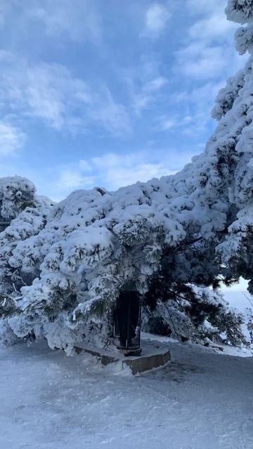 Заснеженная природа Пятигорска и гора Машук смотреть онлайн