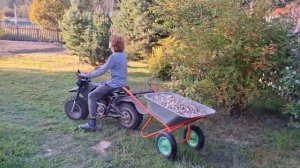 МотоТащикл. Прицеп из садовой тачки к мотовездеходу Mot