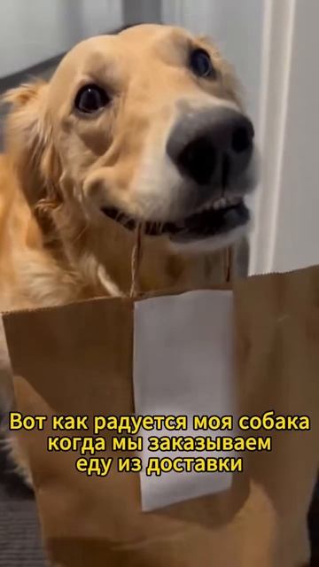 Когда предложил ей не готовить сегодня ужин, а заказат смотреть онлайн