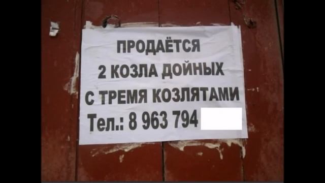 Прикольные обьявления №3 смотреть онлайн