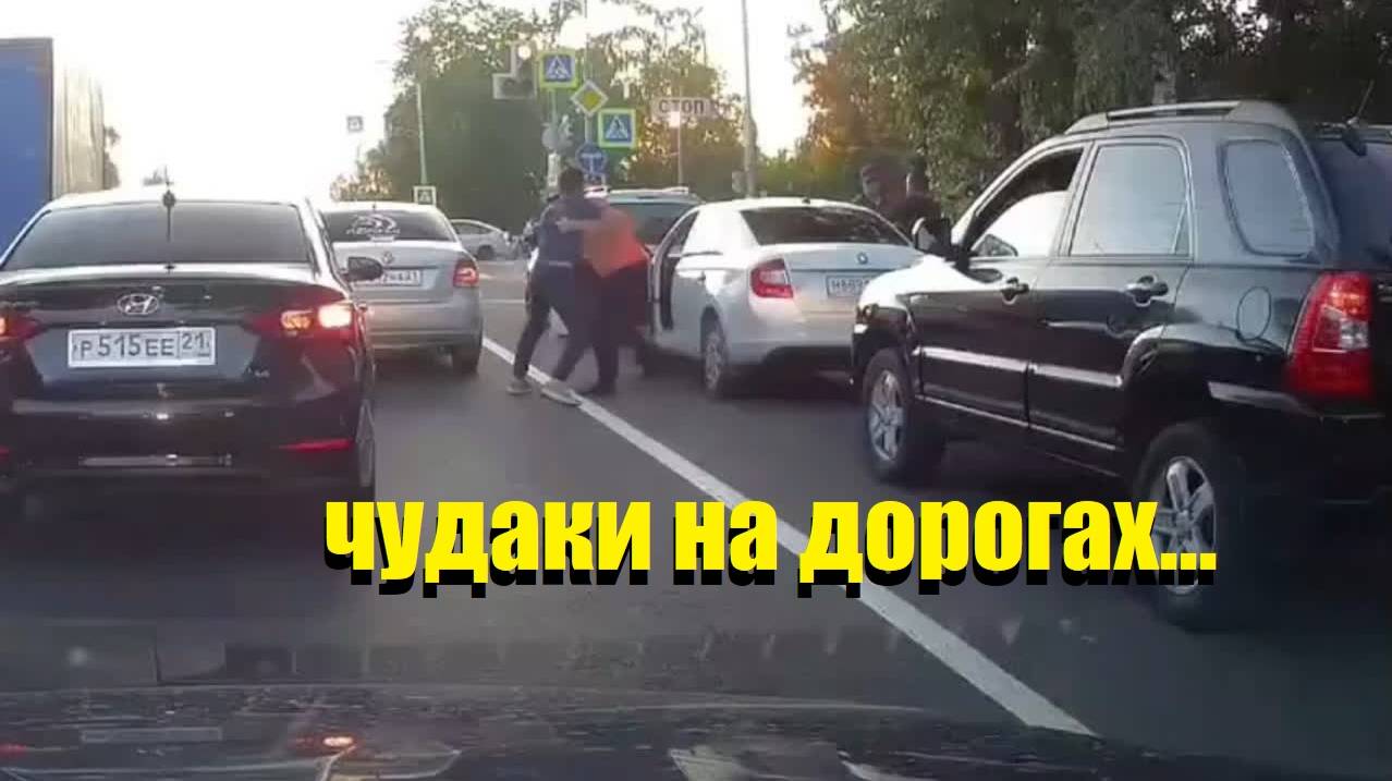 ЧУДАКИ ДОРОГ\\барин едет\профессор-лопух\мусорить плохо\по приборам\ смотреть онлайн