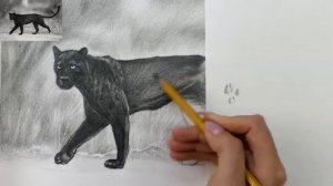 Черная пантера. Часть 3