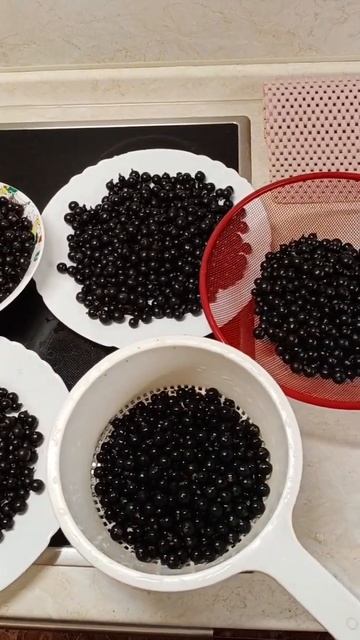 Черная смородина. 😉