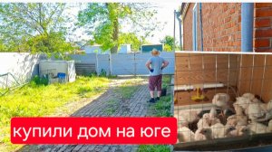 465 🏠Живём в станице на юге. Переехи.Купила фальсификат на Wildberries. Посадили всё!