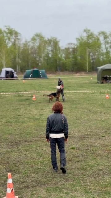 5 Отл. Фемили Бренд АЭЛИТА +++ №86 / КЧК ЧЕЛЯБИНСК 3 мая`25 I.Radulovic Моно нем.овчарок