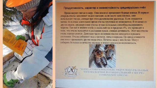 Ревизия и подкормка пчел 21 февраля смотреть онлайн