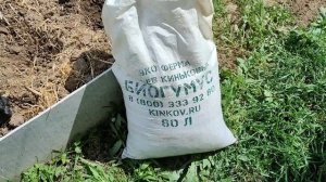 Посадка картофеля элитных сортов в высокие гряды.