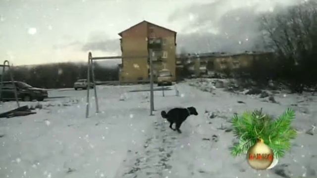 Новогодний dan 486 (анонс)