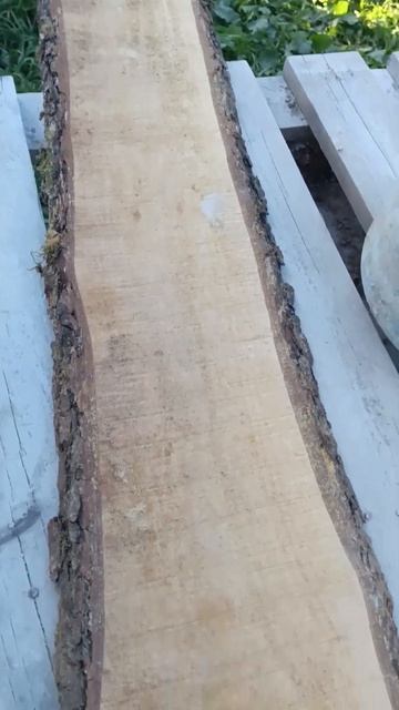 Ольха черная для бани 89671780757 смотреть онлайн