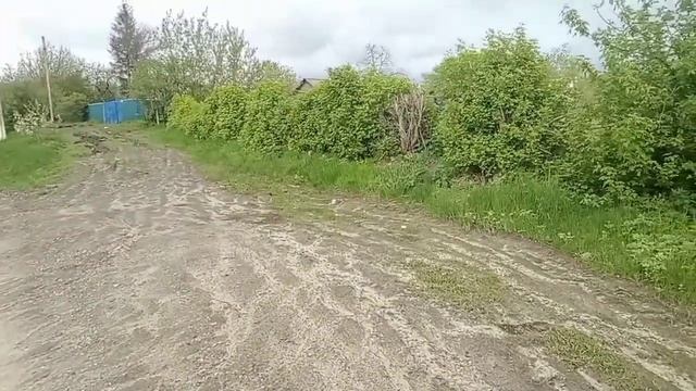 Случай в Библиотеке/Интересные истории из жизни. смотреть онлайн