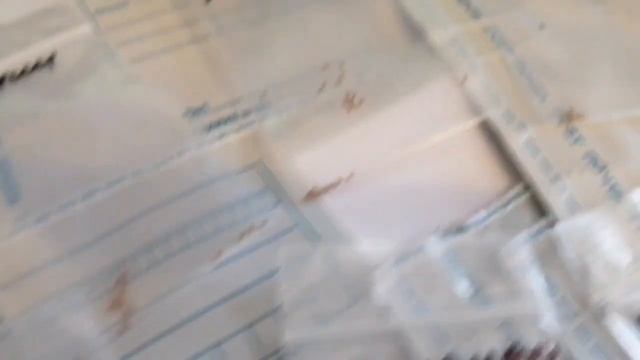 Акционные наборы семян земляники в продаже // Вацап 8-915 смотреть онлайн