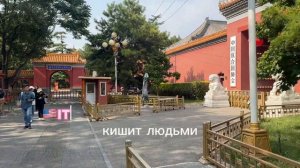 ПЕРЕСАДКА В ПЕКИНЕ, КАК ДОБРАТЬСЯ ДО ЦЕНТРА И ЧТО ПОДЕ?