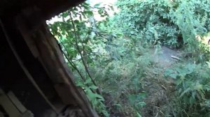 СТАРИННАЯ ЗАБРОШЕННАЯ ДЕРЕВНЯ ЧЕРНОЗЕМЬЯ. ЕСТЬ ЭЛЕКТРИЧЕСТВО И ВОДА В БРОШЕННЫХ ДОМАХ.