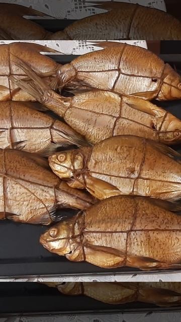 Копчение в радость! Коптильня и Сушилка Москит