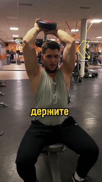 Французский жим с гантелью сидя. Техника выполнения. У смотреть онлайн