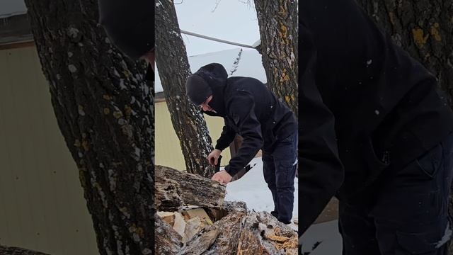 Самый МУЖИЦКИЙ инструмент! Топор PLANTIC L16! #обзор #планти