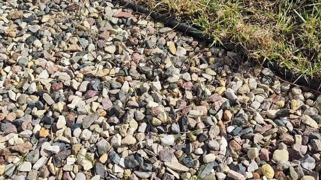 Парковка и дорожки спустя 2 года из щебня фракцией 5 на