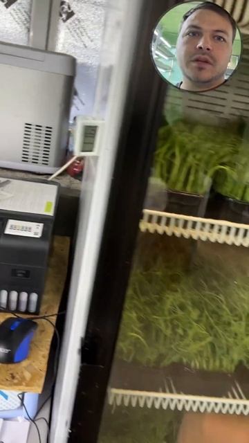 Умный холодильник смотреть онлайн