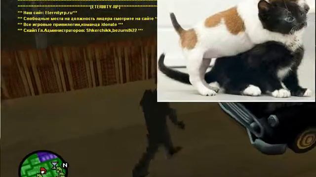 Rockerу нужен напарника для Gta Samp