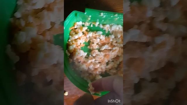 яка має бути каша для Канарки