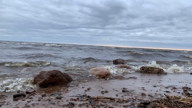 Комарово 05.05.2025 смотреть онлайн