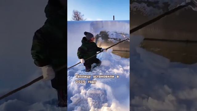 Теплицу установили в 2015 году, шаг 2 метра #уральскаяуса смотреть онлайн