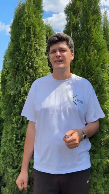 Что не любит туя? Мы рассказываем про растения 🌿🌱 и у смотреть онлайн