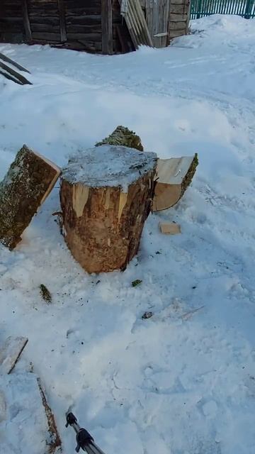 Заготовка дров! Колоть дрова в деревне! #firewood #дрова #за смотреть онлайн