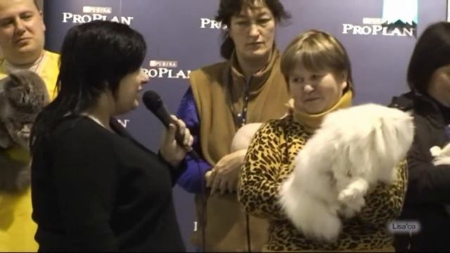 Заморское чудо.avi смотреть онлайн