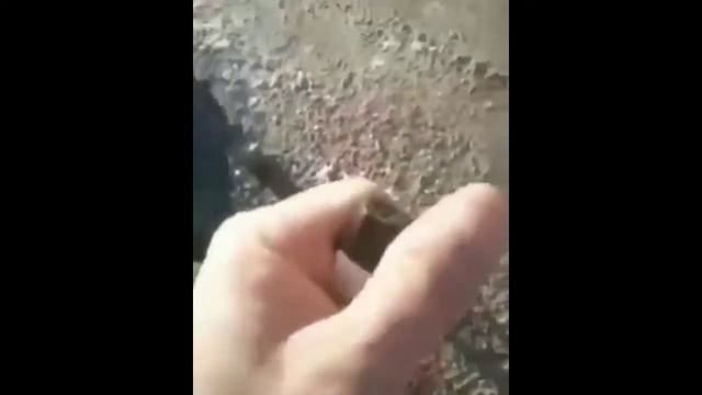 ГАИ ХОДИМИ - Энг зур узбек прикол #36 Uzbek prikol смотреть онлайн