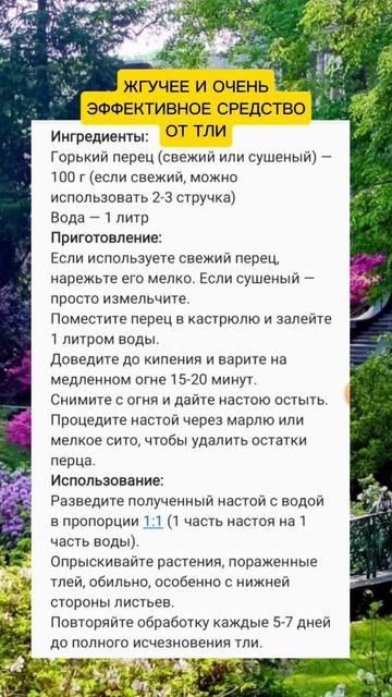 Эффективное средство от тли #дача #огород #полезныесов смотреть онлайн