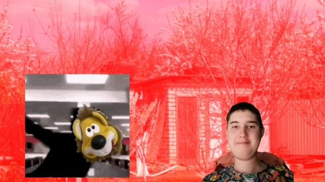 FNF эспумизан история