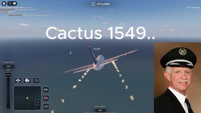 Чудо на Гудзоне #гудзон #самолёт #салли