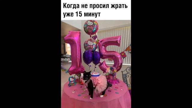 Лютые приколы. КОГДА ВСЕ ЛЕТО ПРОВЕЛ У БАБУШКИ. Угарные мемы. смотреть онлайн