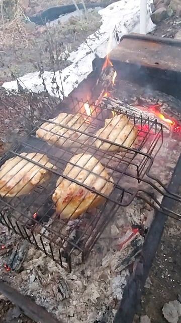 Шашлык из куриных бёдрышек с ароматными специями #food #? смотреть онлайн