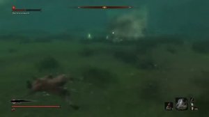 Sekiro: Shadows Die Twice Безголовый под водой