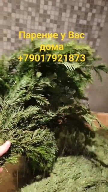 Парильщик на выезд +79017921873 #зож #здоровье #пасека #красо
