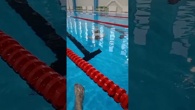 решили поплавать. Swims in winter. #2024 #бассейн #сауна #снег #ка смотреть онлайн