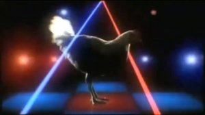 Техно курица   Techno Chicken