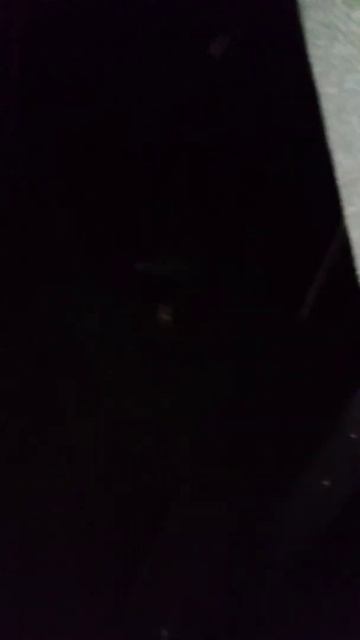 Нечто страшное на качели (дачный ужас #2) смотреть онлайн