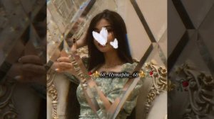 🔱🥀Цыганские песни 2025 🥀🔱 кацавии муз ваш и сапора 😹♥