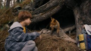 Кино мой дикий друг