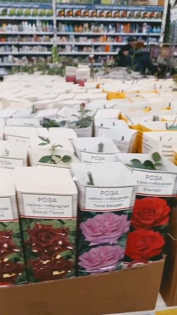 обзор.леруа. смотреть онлайн