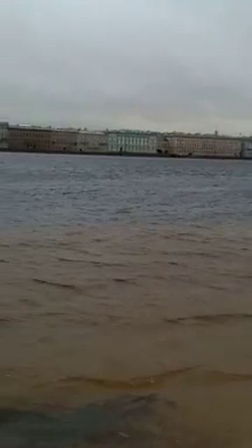 в самом центре Питера есть пляж , он находится в районе смотреть онлайн
