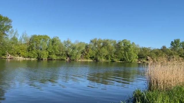 природа смотреть онлайн