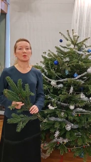 Что такое датская ель? смотреть онлайн