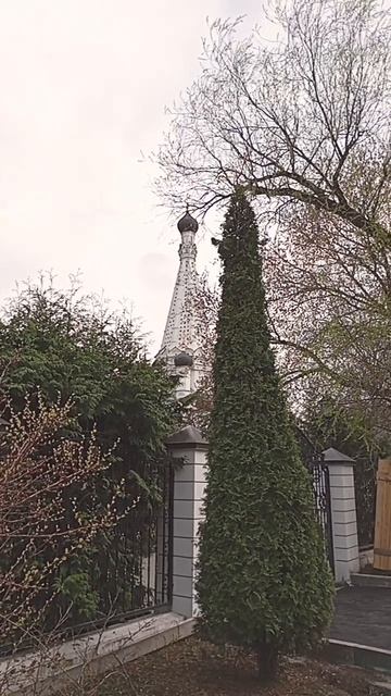Кипарис смотреть онлайн