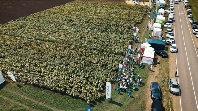 ДЕНЬ ПОЛЯ ЮГА РОССИИ 2024