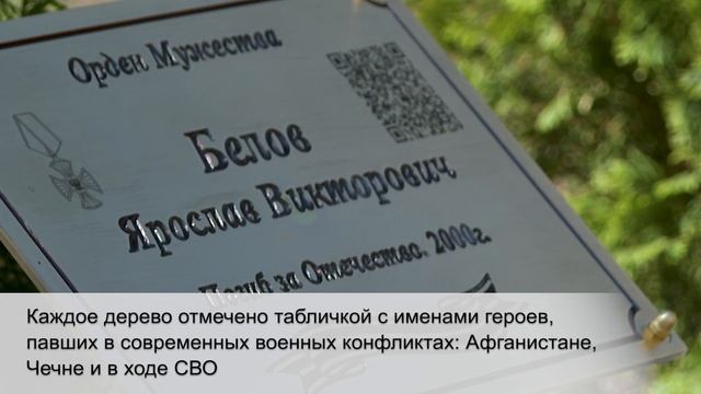 Аллея Памяти